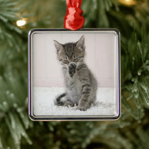 Cutest Baby Animals Licking Tabby Kitten Metal Ornament
