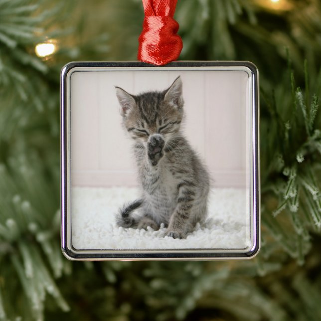 Cutest Baby Animals | Licking Tabby Kitten Metal Ornament (Tree)