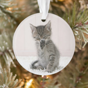 Cutest Baby Animals   Licking Tabby Kitten Ornament