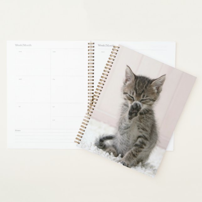 Cutest Baby Animals | Licking Tabby Kitten Planner (Display)