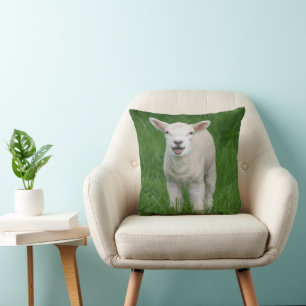 Cutest Baby Animals   Lil Lamb Cushion