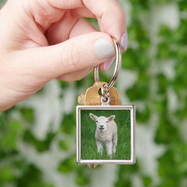 Cutest Baby Animals | Lil Lamb Key Ring (Hand)