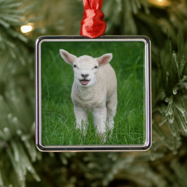 Cutest Baby Animals | Lil Lamb Metal Ornament (Tree)