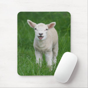 Cutest Baby Animals Lil Lamb Mouse Pad