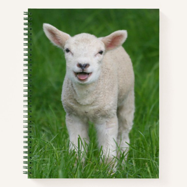 Cutest Baby Animals | Lil Lamb Notebook (Front)