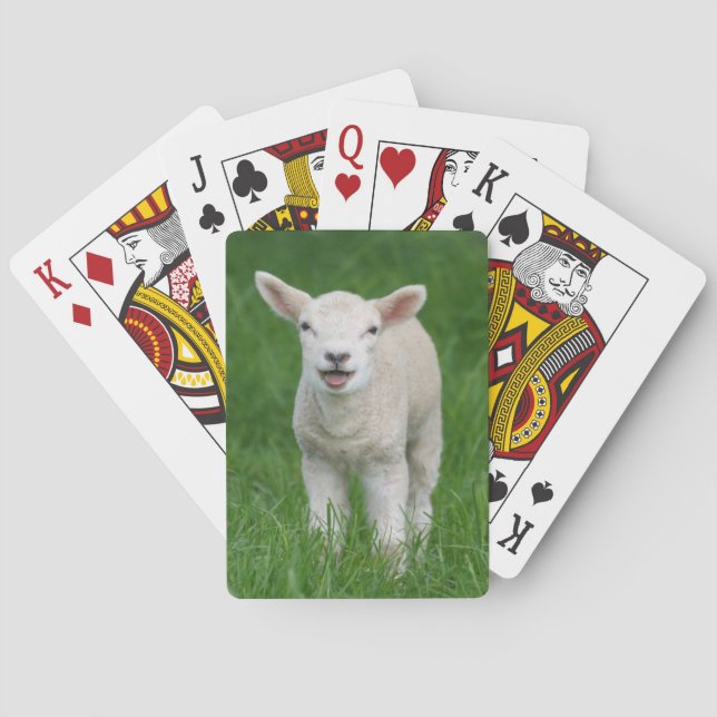 Cutest Baby Animals | Lil Lamb Playing Cards (Back)