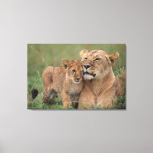 Cutest Baby Animals Lion Cub & Mother Canvas Print