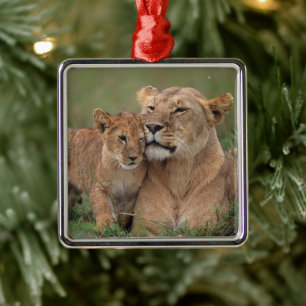 Cutest Baby Animals   Lion Cub & Mother Metal Ornament