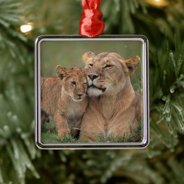 Cutest Baby Animals | Lion Cub & Mother Metal Ornament (Tree)