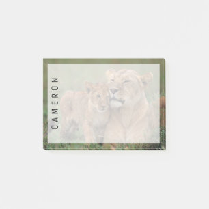 Cutest Baby Animals   Lion Cub & Mother Post-it Notes