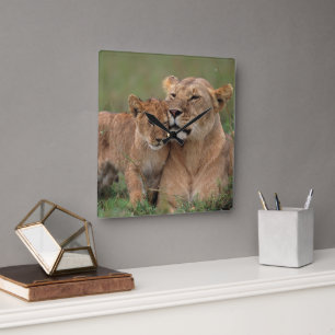 Cutest Baby Animals   Lion Cub & Mother Square Wall Clock