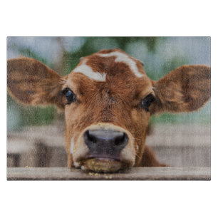 Cutest Baby Animals Little Cow Calf Cutting Board
