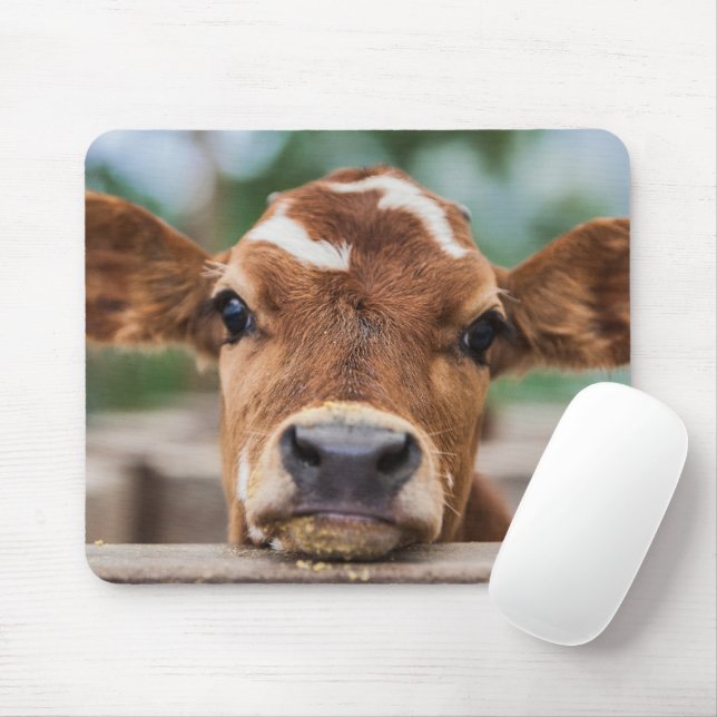 Cutest Baby Animals | Little Cow Calf Mouse Pad (With Mouse)