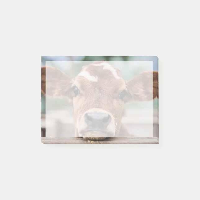 Cutest Baby Animals | Little Cow Calf Post-it Notes (Front)