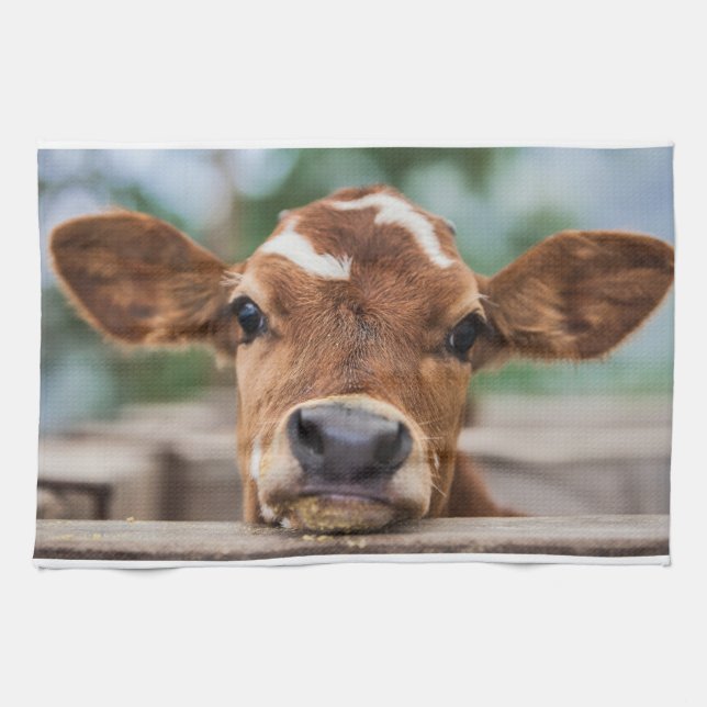 Cutest Baby Animals | Little Cow Calf Tea Towel (Horizontal)