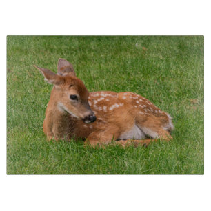 Cutest Baby Animals Little Fawn Cutting Board