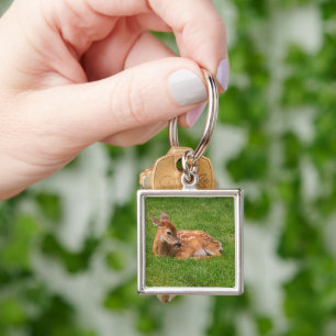 Cutest Baby Animals Little Fawn Key Ring