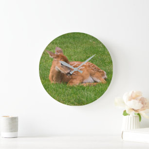 Cutest Baby Animals   Little Fawn Large Clock