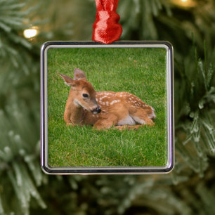 Cutest Baby Animals Little Fawn Metal Ornament