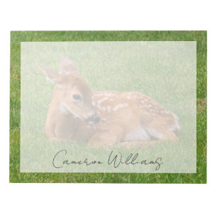 Cutest Baby Animals Little Fawn Notepad