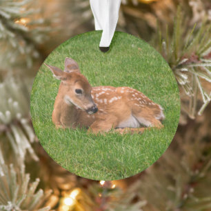 Cutest Baby Animals   Little Fawn Ornament