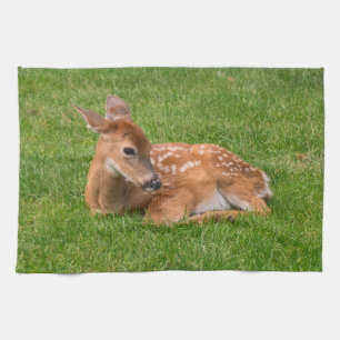 Cutest Baby Animals   Little Fawn Tea Towel