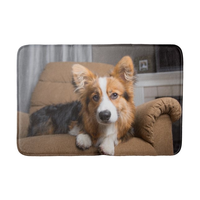 Cutest Baby Animals | Long Hair Corgi Puppy Bath Mat (Front)