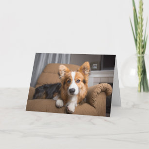Cutest Baby Animals Long Hair Corgi Puppy Card