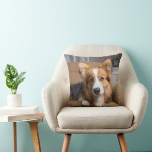 Cutest Baby Animals Long Hair Corgi Puppy Cushion