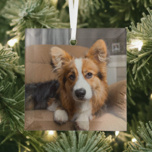 Cutest Baby Animals Long Hair Corgi Puppy Glass Tree Decoration