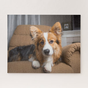 Cutest Baby Animals Long Hair Corgi Puppy Jigsaw Puzzle