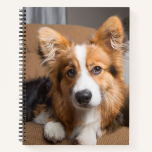 Cutest Baby Animals   Long Hair Corgi Puppy Notebook