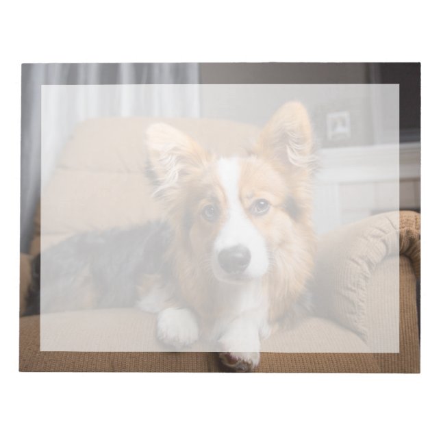 Cutest Baby Animals | Long Hair Corgi Puppy Notepad (Front)