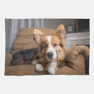 Cutest Baby Animals Long Hair Corgi Puppy Tea Towel