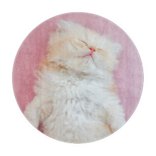Cutest Baby Animals   Lovely Kitten Sleeping Cutting Board