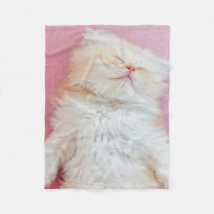 Cutest Baby Animals Lovely Kitten Sleeping Fleece Blanket