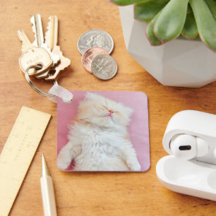 Cutest Baby Animals   Lovely Kitten Sleeping Key Ring