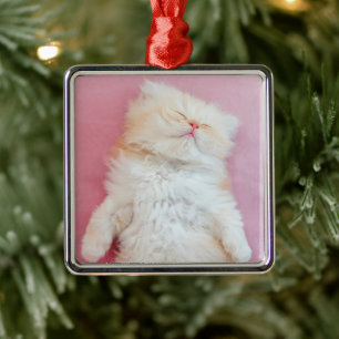 Cutest Baby Animals Lovely Kitten Sleeping Metal Ornament