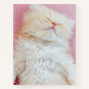 Cutest Baby Animals Lovely Kitten Sleeping Notebook