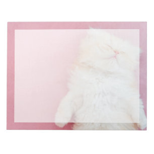 Cutest Baby Animals Lovely Kitten Sleeping Notepad