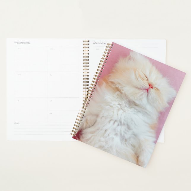 Cutest Baby Animals | Lovely Kitten Sleeping Planner (Display)