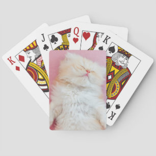 Cutest Baby Animals Lovely Kitten Sleeping Playing Cards