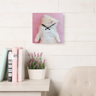 Cutest Baby Animals   Lovely Kitten Sleeping Square Wall Clock