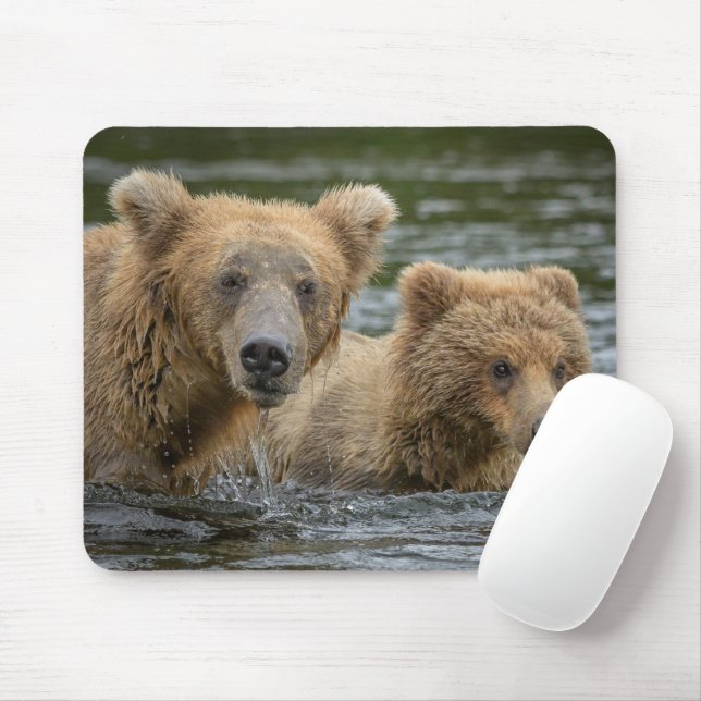 Cutest Baby Animals | Mama Bear & Her Cubs Mouse Pad (With Mouse)