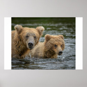 Cutest Baby Animals Mama Bear & Her Cubs Poster