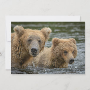 Cutest Baby Animals Mama Bear & Her Cubs Thank You Card