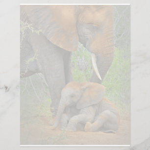 Cutest Baby Animals   Mama Elephant & Baby