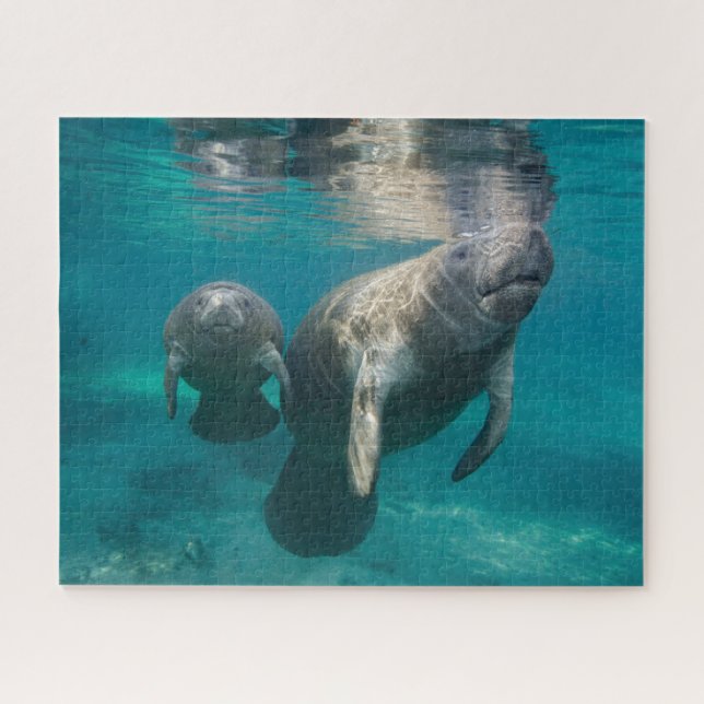 Cutest Baby Animals | Manatee & Baby Jigsaw Puzzle (Horizontal)
