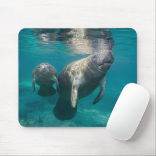 Cutest Baby Animals   Manatee & Baby Mouse Pad