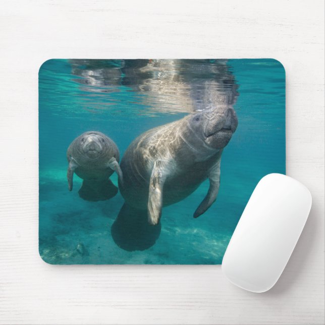 Cutest Baby Animals | Manatee & Baby Mouse Pad (With Mouse)